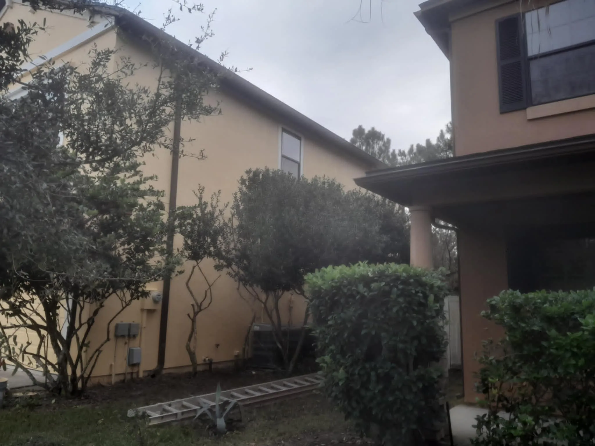 side elevation